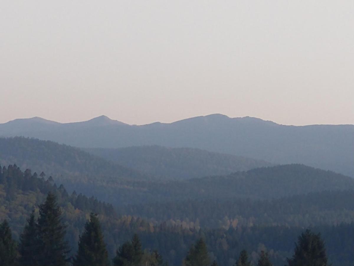 Zurawin * Lutowiska